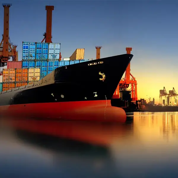 Services of Loading / Unloading Cargo in Worldwide Seaports