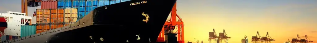Logistic Services in Worldwide Seaports
